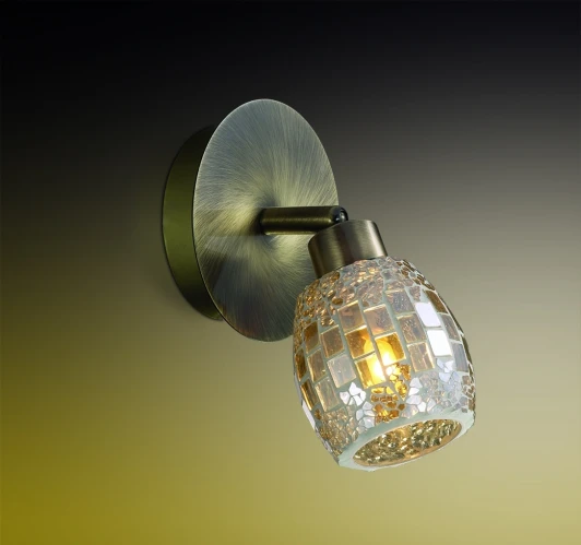 2166/1W Спот Odeon Light Glosse 2166/1W