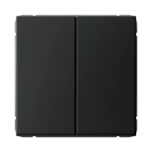 GAL001017S Выключатель двухклавишный (карбон) Systeme Electric GAL001017S