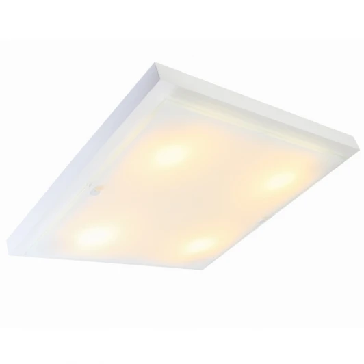 106-11-24/2 Настенно-потолочный светильник Дубравия Полина 106-11-24/2