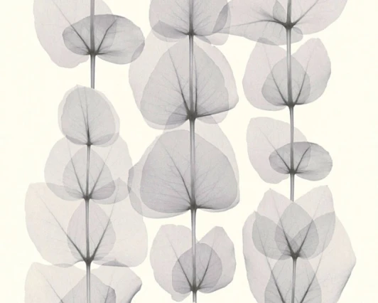 34245-2 Обои виниловые A.S. Creation X-Ray 34245-2 10,05 x 0,53 м