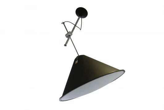 001067 Подвесной светильник Artpole Triumph 001067