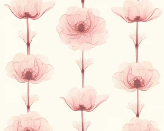 34273-3 Обои виниловые A.S. Creation X-Ray 34273-3 10,05 x 0,53 м