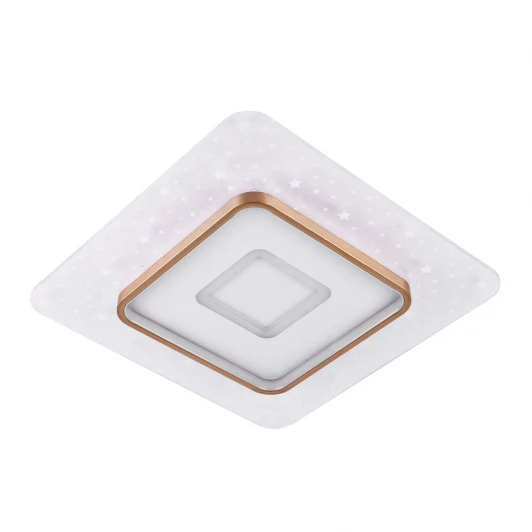 L1029-500 WH-GD Потолочный светильник светодиодный с пультом с регулировкой цветовой температуры и яркости LED4U LED4U L1029-500 WH-GD