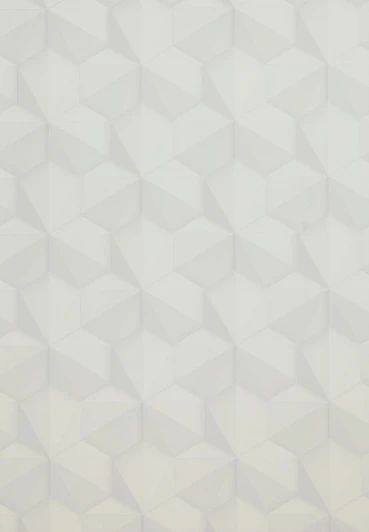 BN 218419 Рулонные обои BN International BN 218419