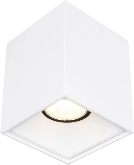 ST168.502.01 Светильник потолочный ST Luce ST168.502.01 Белый GU10 1*50W IP20 220V