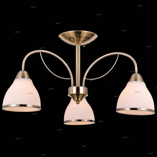 75048/3C ANTIQUE Natali Kovaltseva 75048 75048/3C ANTIQUE