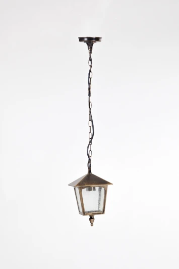 15905S Уличный светильник подвесной Oasis Light Praga 15905S