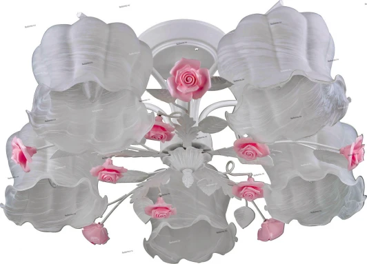 034/5P Myone 034 034/5P