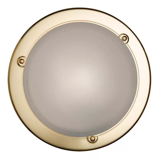 215 Настенно-потолочный светильник Sonex Riga 215