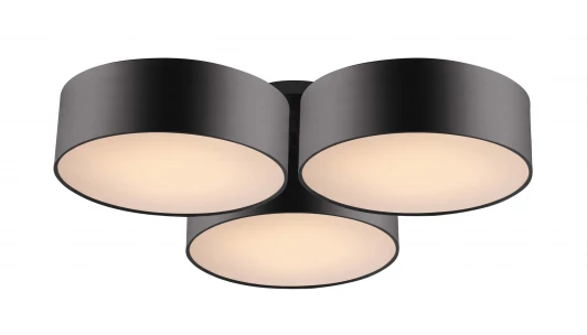 1514-6C Потолочный светильник Favourite Cerchi 1514-6C