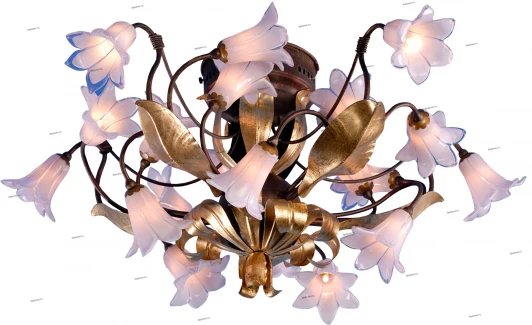 0800154/20C Adelluce 0800154 0800154/20C