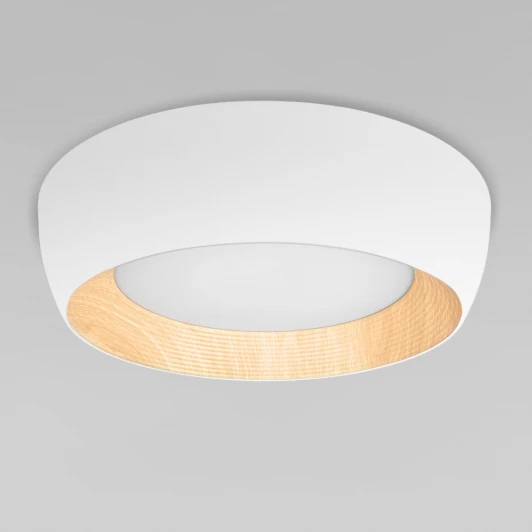 10255/500 White Потолочный светильник круглый Loft It Folk 10255/500 White (LED, 220V, круглые)