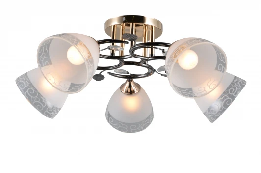 1078/5C Потолочная люстра J-Light Alli 1078/5C