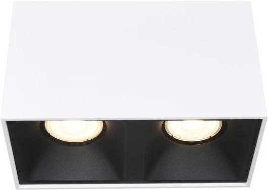 ST168.542.02 Светильник потолочный ST Luce ST168.542.02 Белый GU10 2*50W 220V