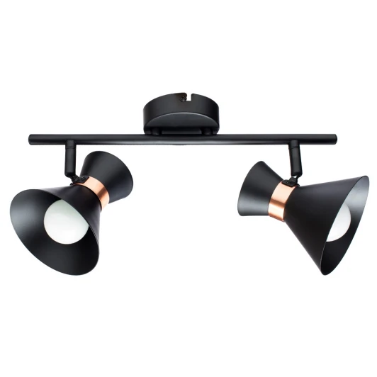 A1406AP-2BK Спот на штанге Arte Lamp Baltimore A1406AP-2BK (220V, круглые)