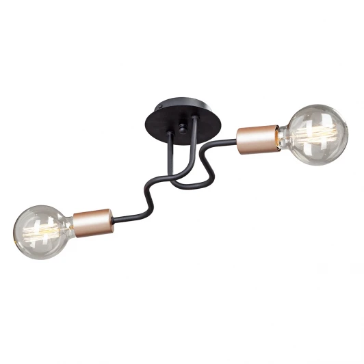 V4560-1/2PL Потолочная люстра Vitaluce V4560-1/2PL (220V)