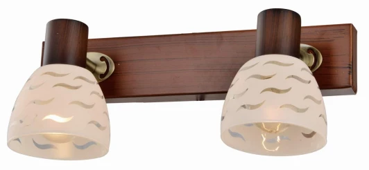 TL3730Y-02BB Спот Toplight Shayla TL3730Y-02BB