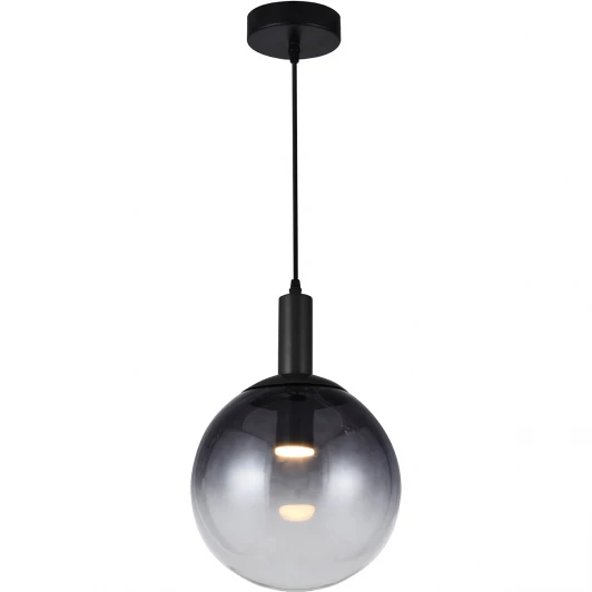 TL1217H-01BL Подвесной светильник Toplight Gwendolyn TL1217H-01BL (LED, 220V, на проводе, шар)