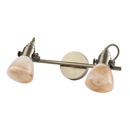 A9581AP-2AB Спот Arte Lamp Tulip A9581AP-2AB