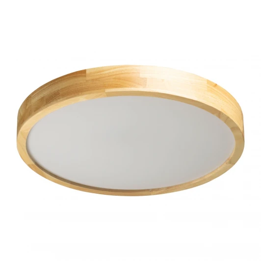 660015501 Потолочный светильник круглый светодиодный De City Норден 660015501