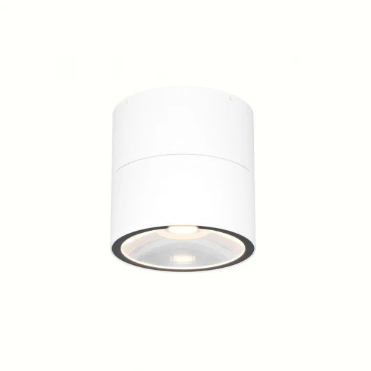 O310CL-L12W3K Уличный потолочный светильник Maytoni Spin O310CL-L12W3K (LED, 220V, круглые, IP54)