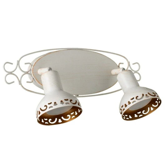 A5219AP-2WG Спот Arte Lamp Focus A5219AP-2WG