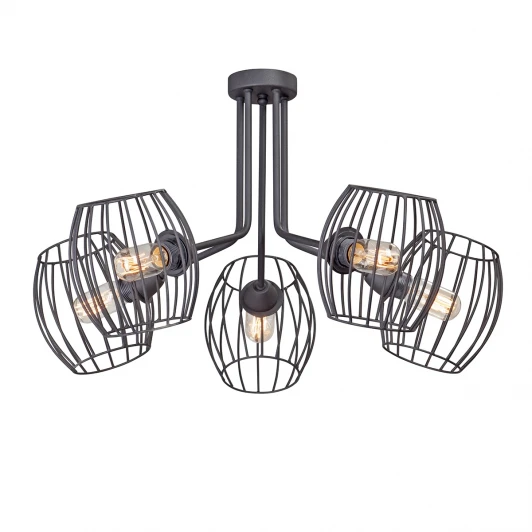 V4749-1/5PL Потолочная люстра Vitaluce V4749-1/5PL