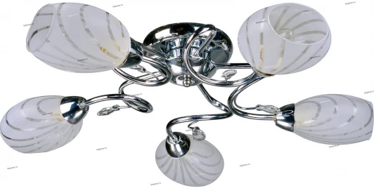 077/5PL Myone 077 077/5PL