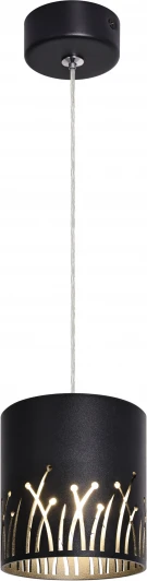 PL30 BK Подвесной светильник ЭРА PL30 BK (220V, на проводе)