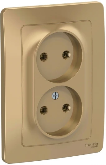 BLNRS000024 Розетка встраиваемая двойная без заземления (титан) Systeme Electric Blanca BLNRS000024