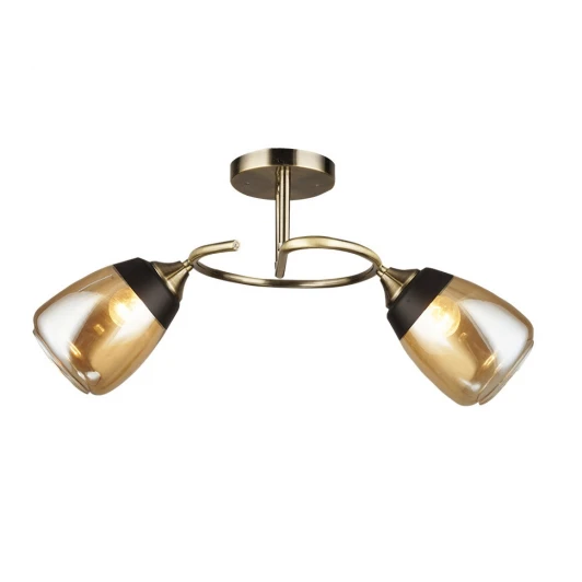 66425.01.05.02 Потолочная люстра Wedo Light Aldino 66425.01.05.02