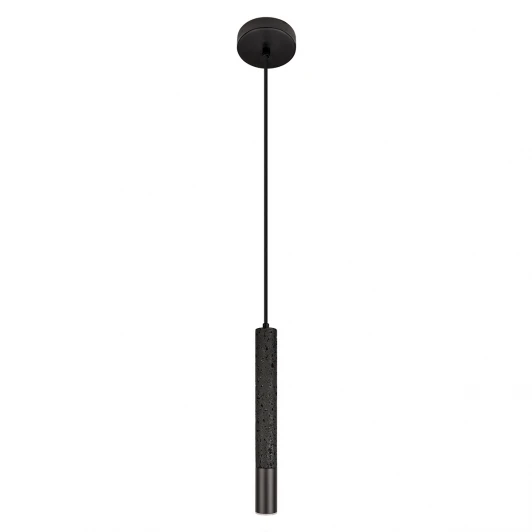10583C Black Подвесной светильник Loft It Everest 10583C Black