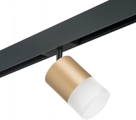 PRO349081 Трековый светильник Lightstar Rullo для трека PRO Rullo PRO349081 (220V)