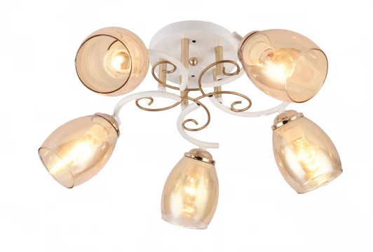 1116/5C Потолочная люстра J-Light Lossy 1116/5C