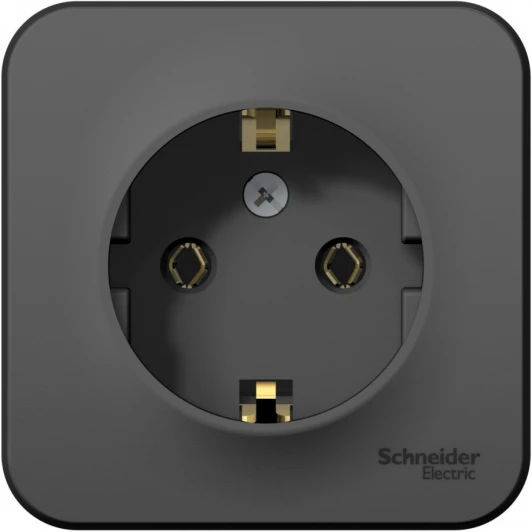 BLNRA010116 Розетка накладная с заземлением (антрацит) Systeme Electric Blanca BLNRA010116