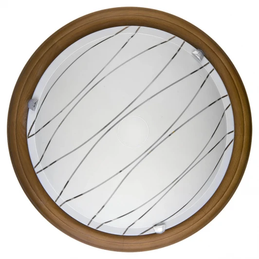 TL9610Y-00OA Настенно-потолочный светильник Toplight Gabrielle TL9610Y-00OA
