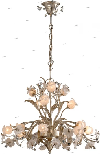 0800059/15P Adelluce 0800059 0800059/15P