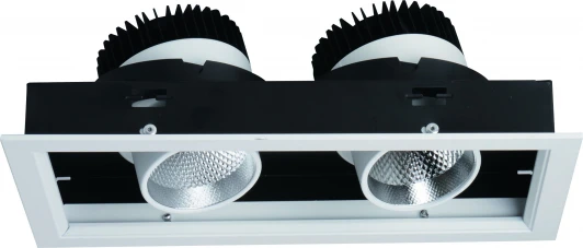 A1712PL-2WH Встраиваемый точечный светильник Arte Lamp Cardani A1712PL-2WH