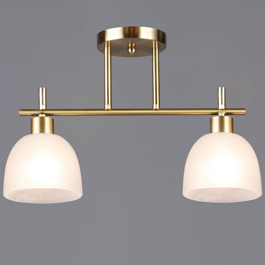 06417-0.3-02 COP Потолочная люстра на штанге Reluce 06417-0.3-02 COP (220V)