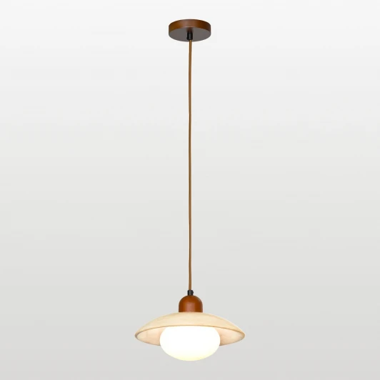 LSP-8948 Подвесной светильник Lussole Mon LSP-8948 (220V, на проводе)