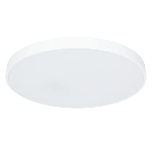 A2671PL-1WH Потолочный светильник Arte Lamp Arena A2671PL-1WH