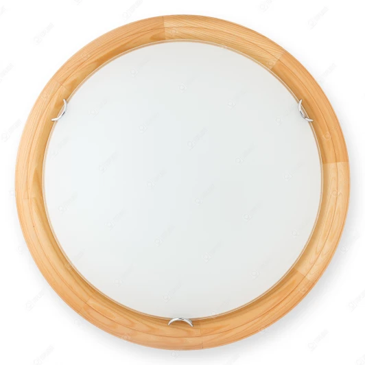 TL9144Y-02PN Настенно-потолочный светильник Toplight Wifa TL9144Y-02PN