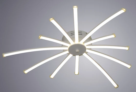 A2519PL-12WH Потолочная люстра Arte Lamp A2519PL-12WH