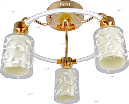 048R/3PL Myone 048R 048R/3PL