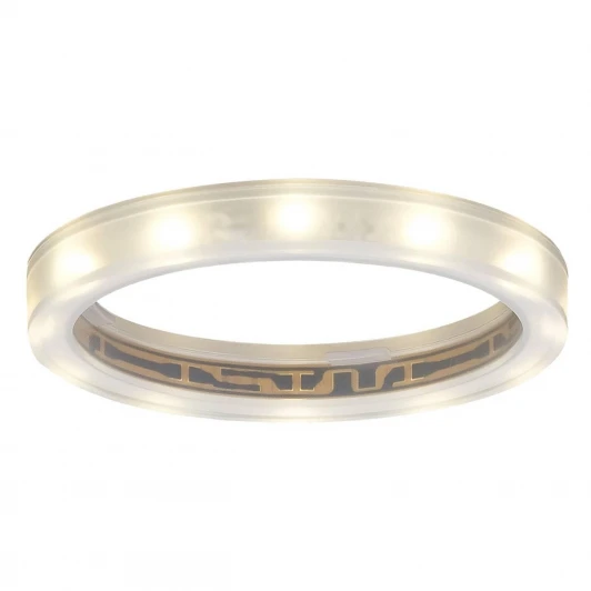 98863 Встраиваемый точечный светильник Paulmann Star Line Ring 98863