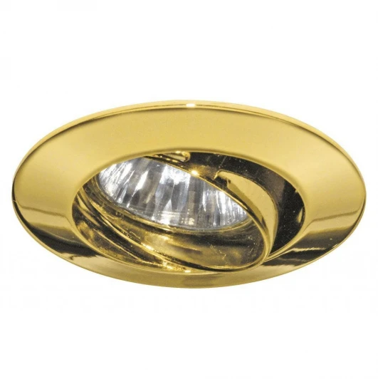 99309 Встраиваемый точечный светильник Paulmann Premium Line Halogen 99309