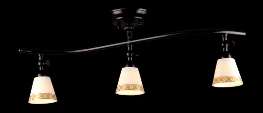 ECO001-03-R Спот Maytoni Spot 1 ECO001-03-R