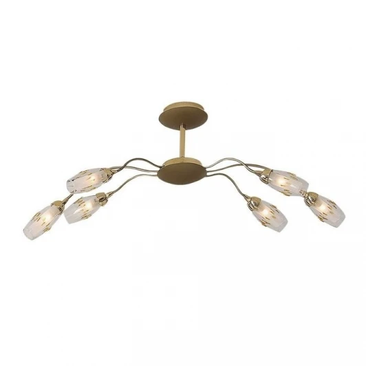 CL201265 Потолочная люстра Citilux Amber CL201265