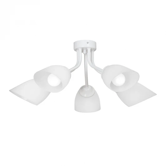 V3184/5PL Потолочная люстра Vitaluce V3184/5PL (220V)