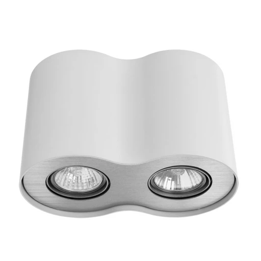 A5633PL-2WH Потолочный светильник Arte Lamp Falcon A5633PL-2WH (220V)